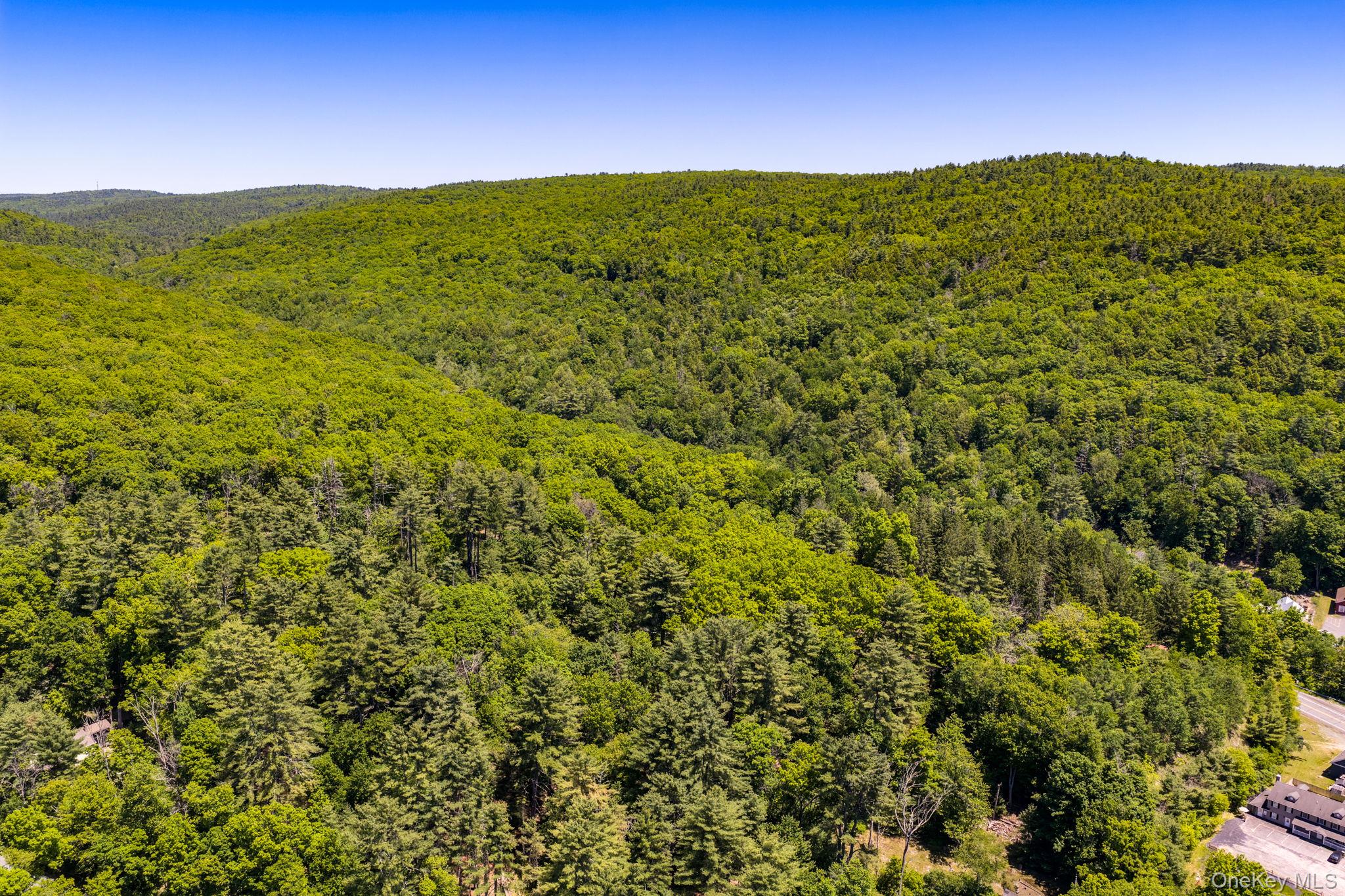 Lot 11.1 State Route 55 And Mail Road Property Photo 4