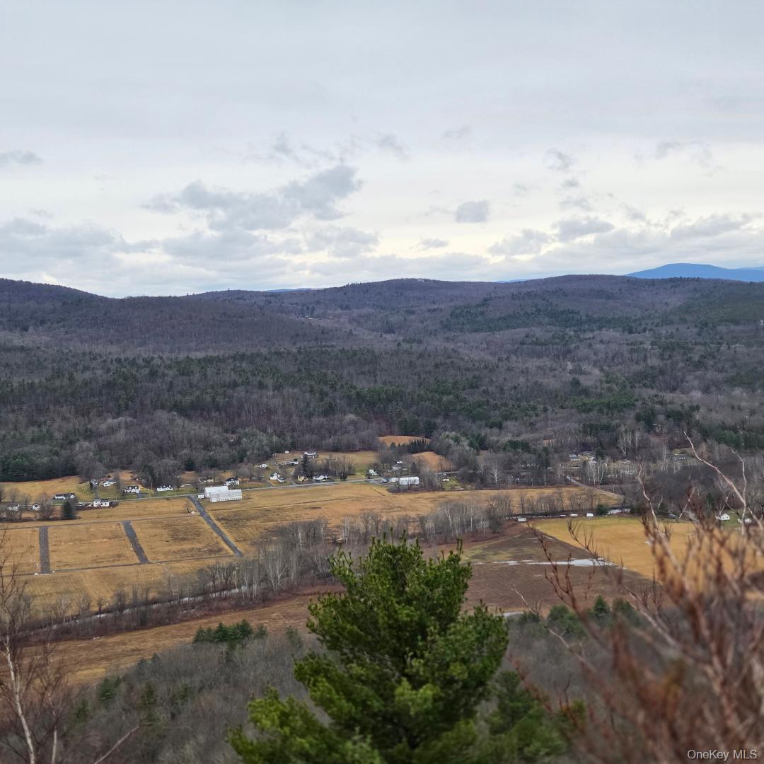 112 State Route 55 Property Photo 43