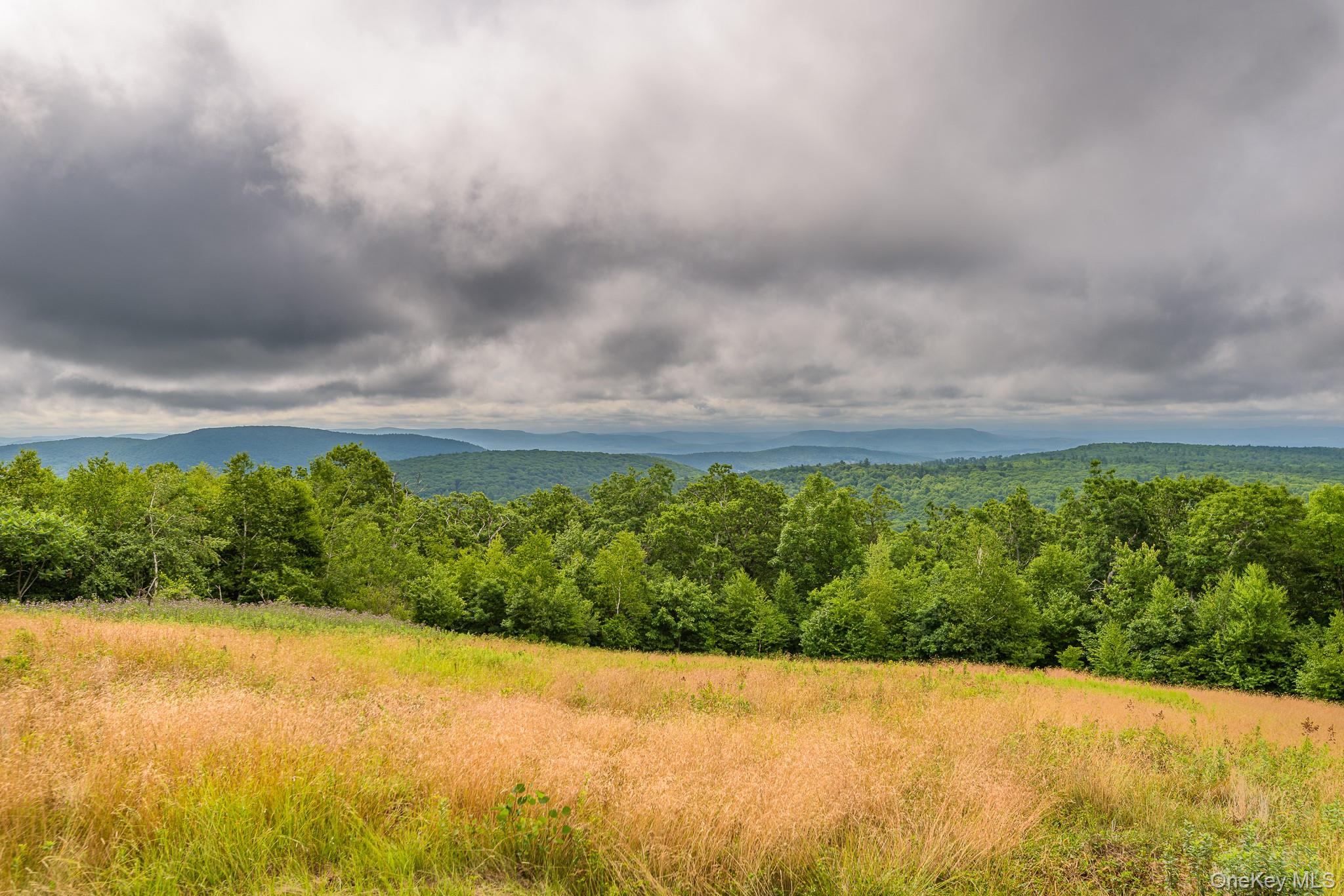 890 Bald Mountain Road Property Photo 2