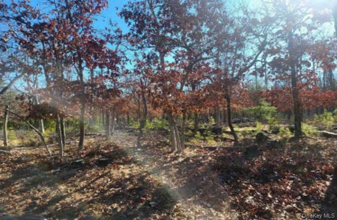550 / 549 Wainscott Nw Road Property Photo 3