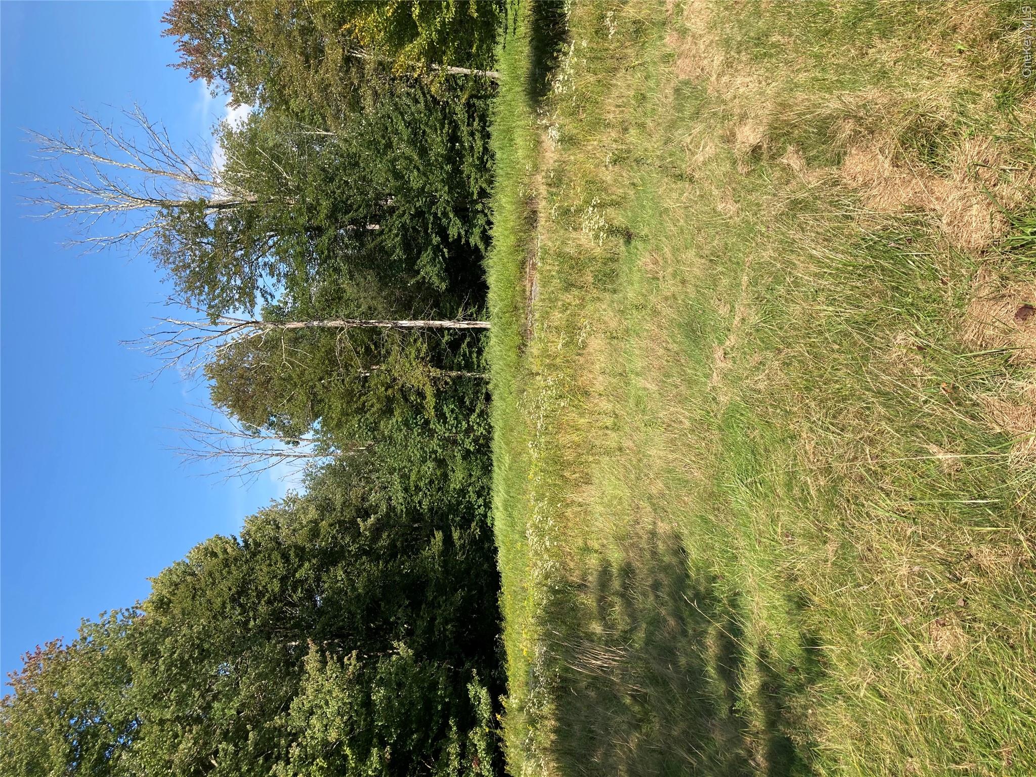 699 Budd Road Property Photo 16