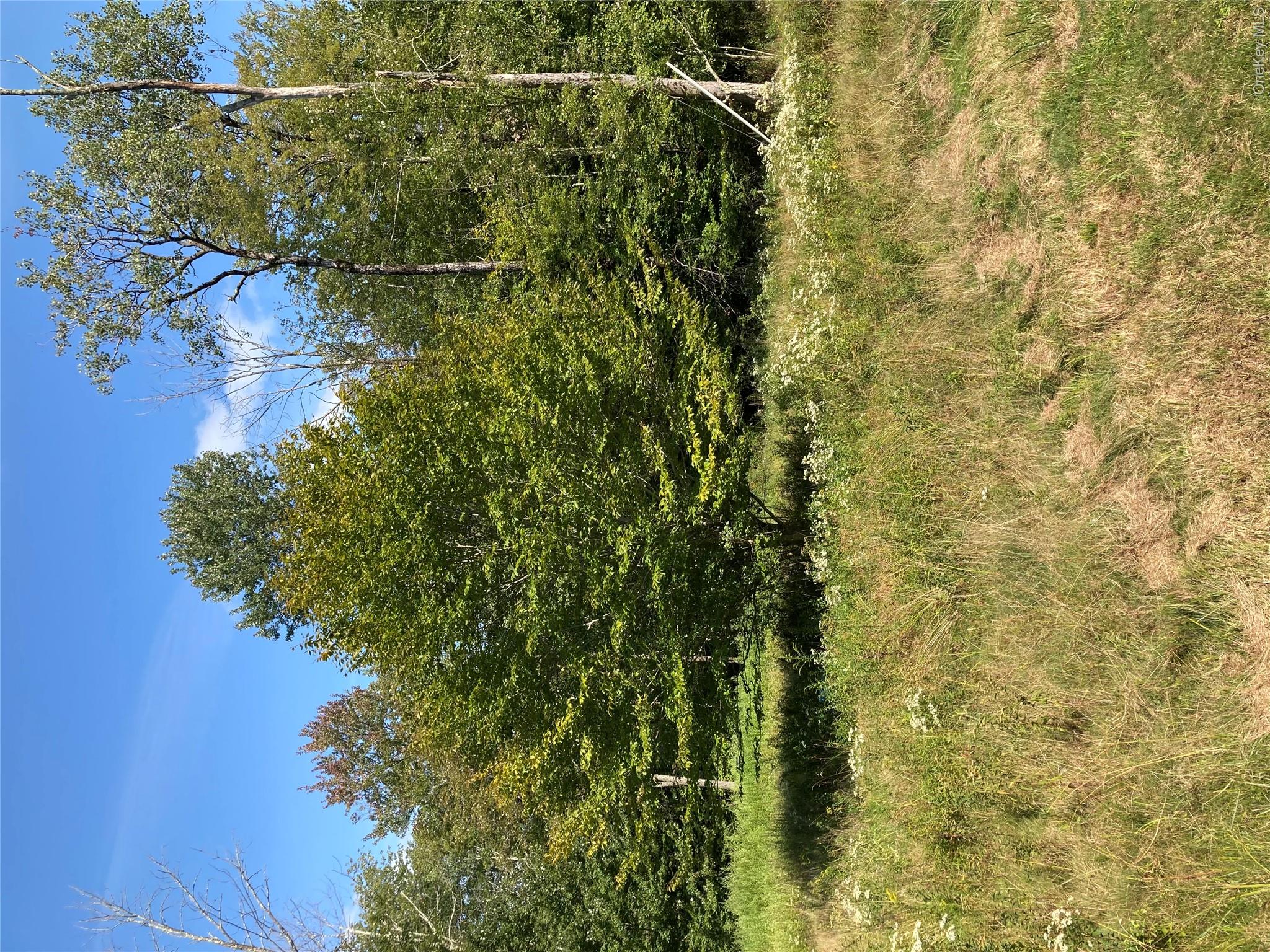 699 Budd Road Property Photo 22