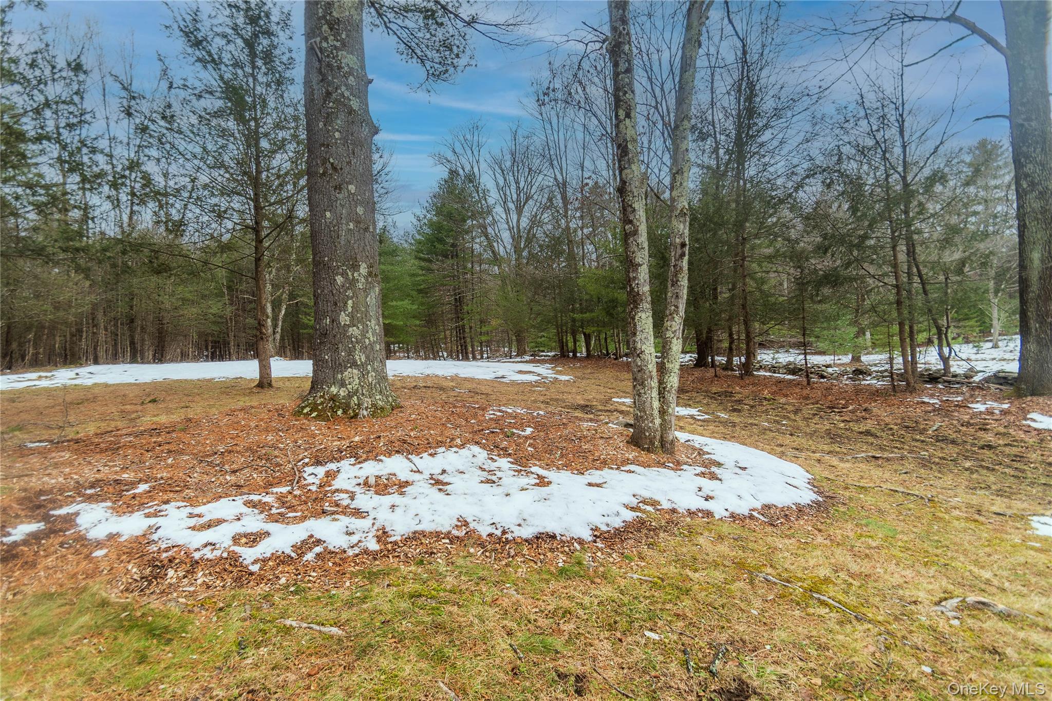 183 Mill Road Property Photo 7