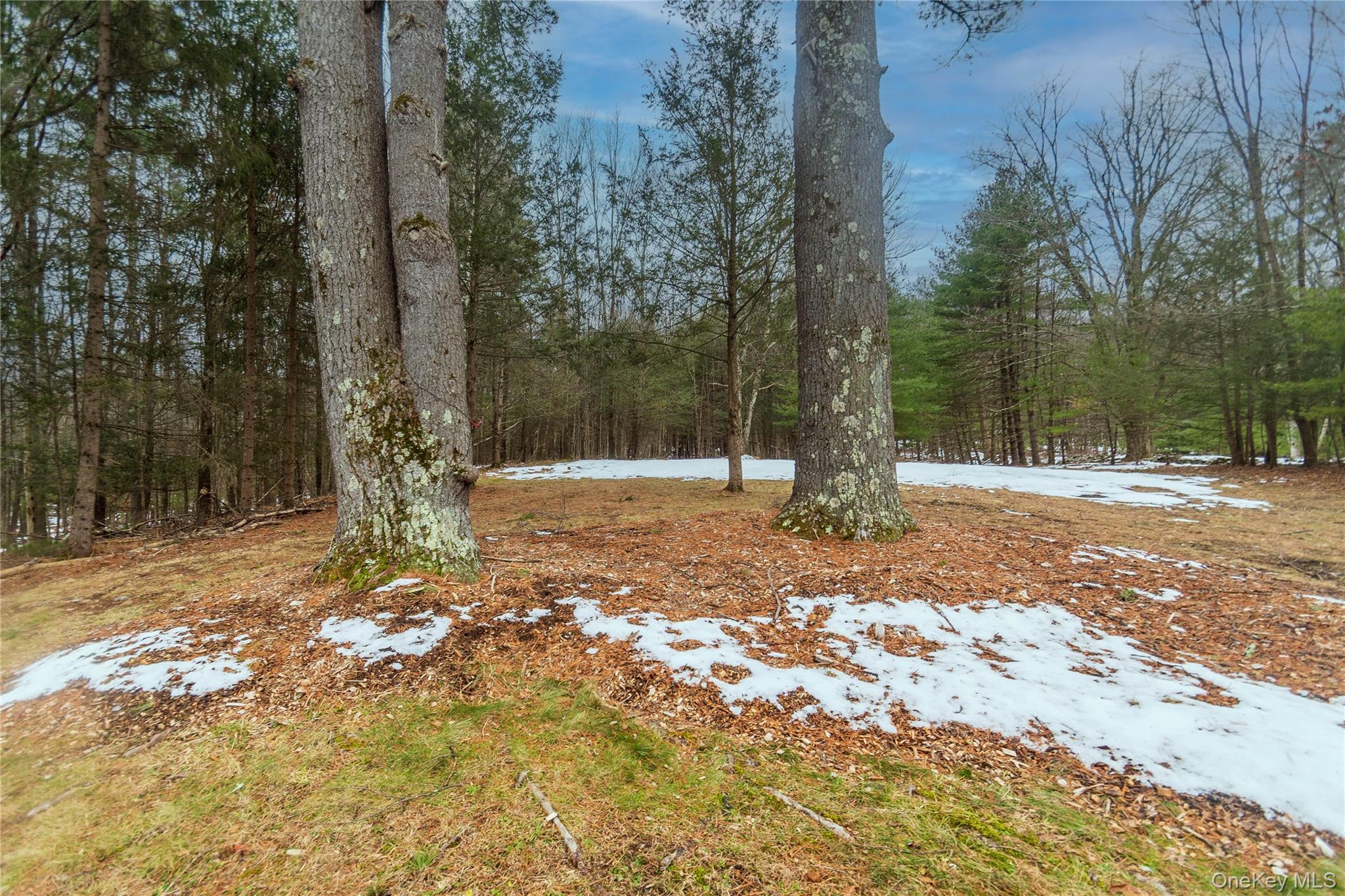 183 Mill Road Property Photo 8