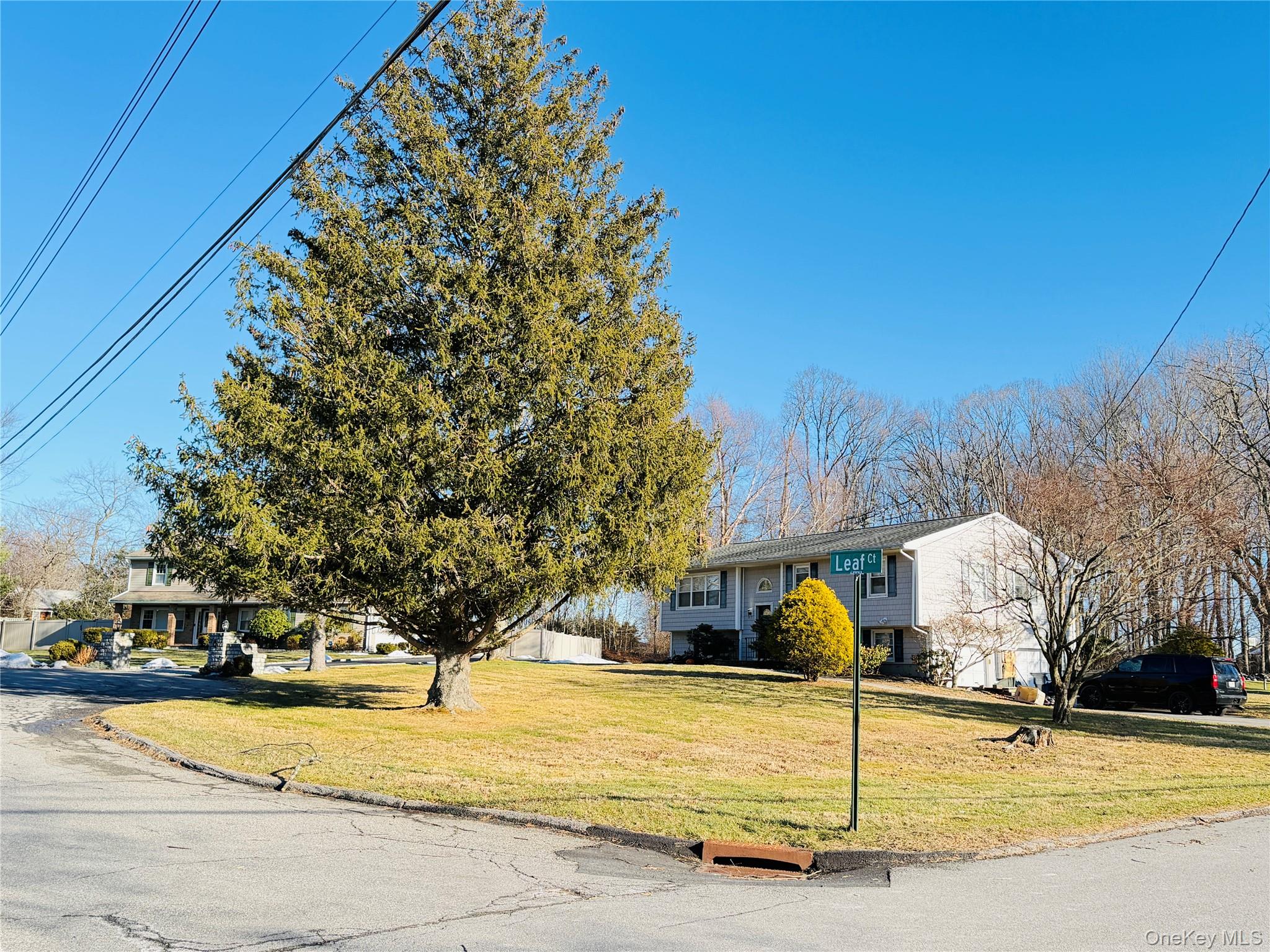 110 Wayacross Road Property Photo 5