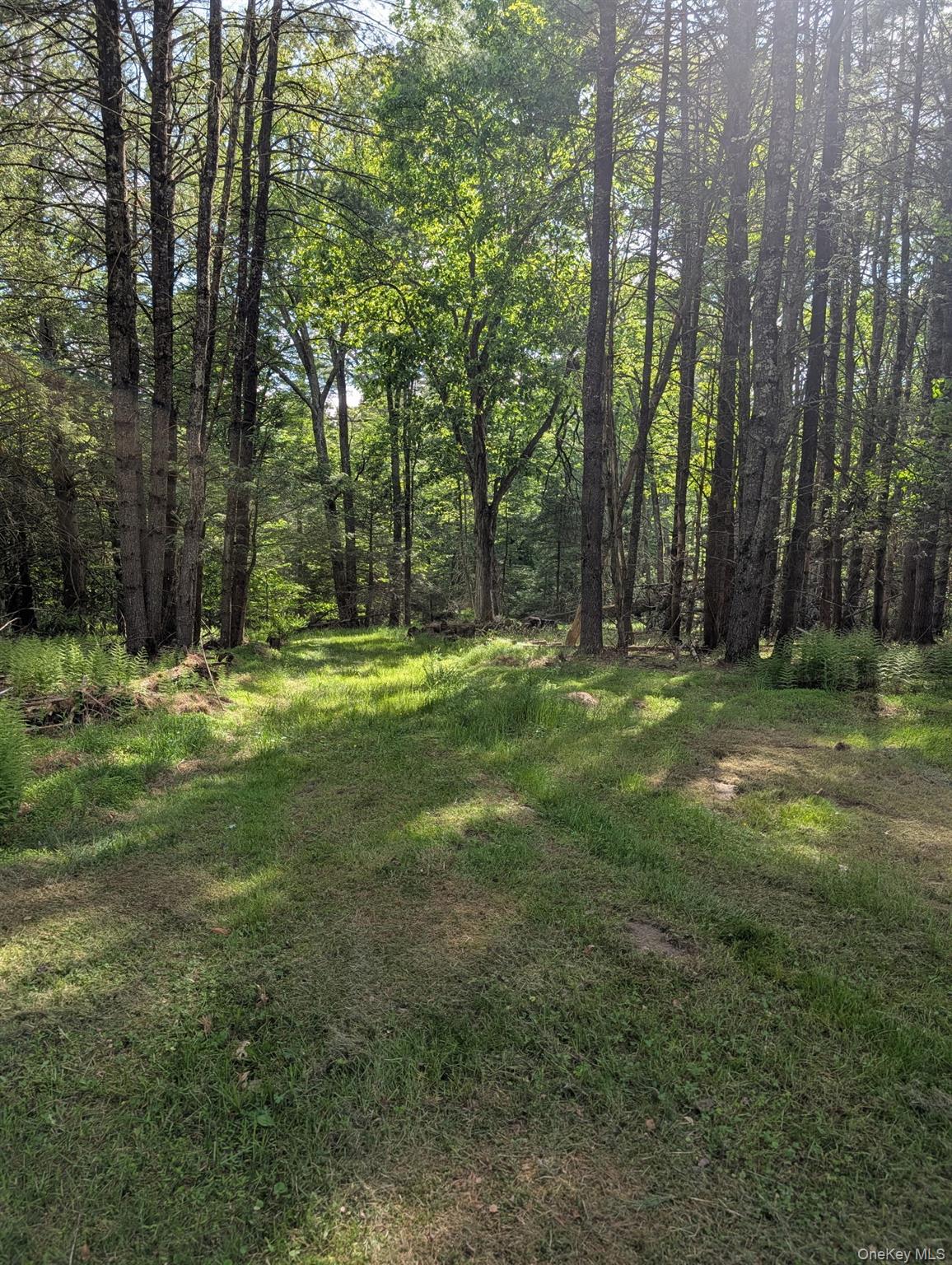 807 Beaver Brook Road Property Photo 25