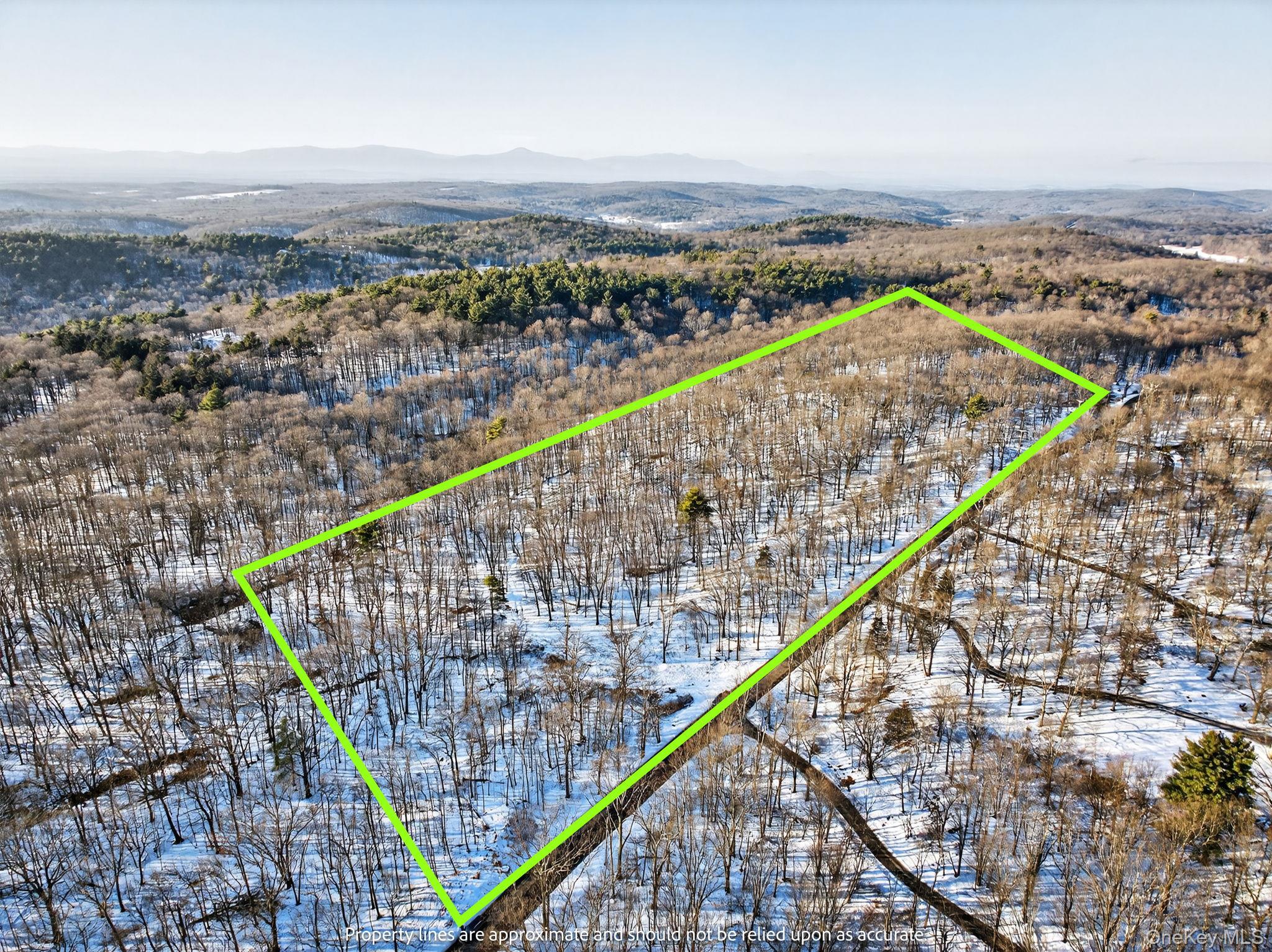 Tbd Hicks Hill Road Property Photo 1