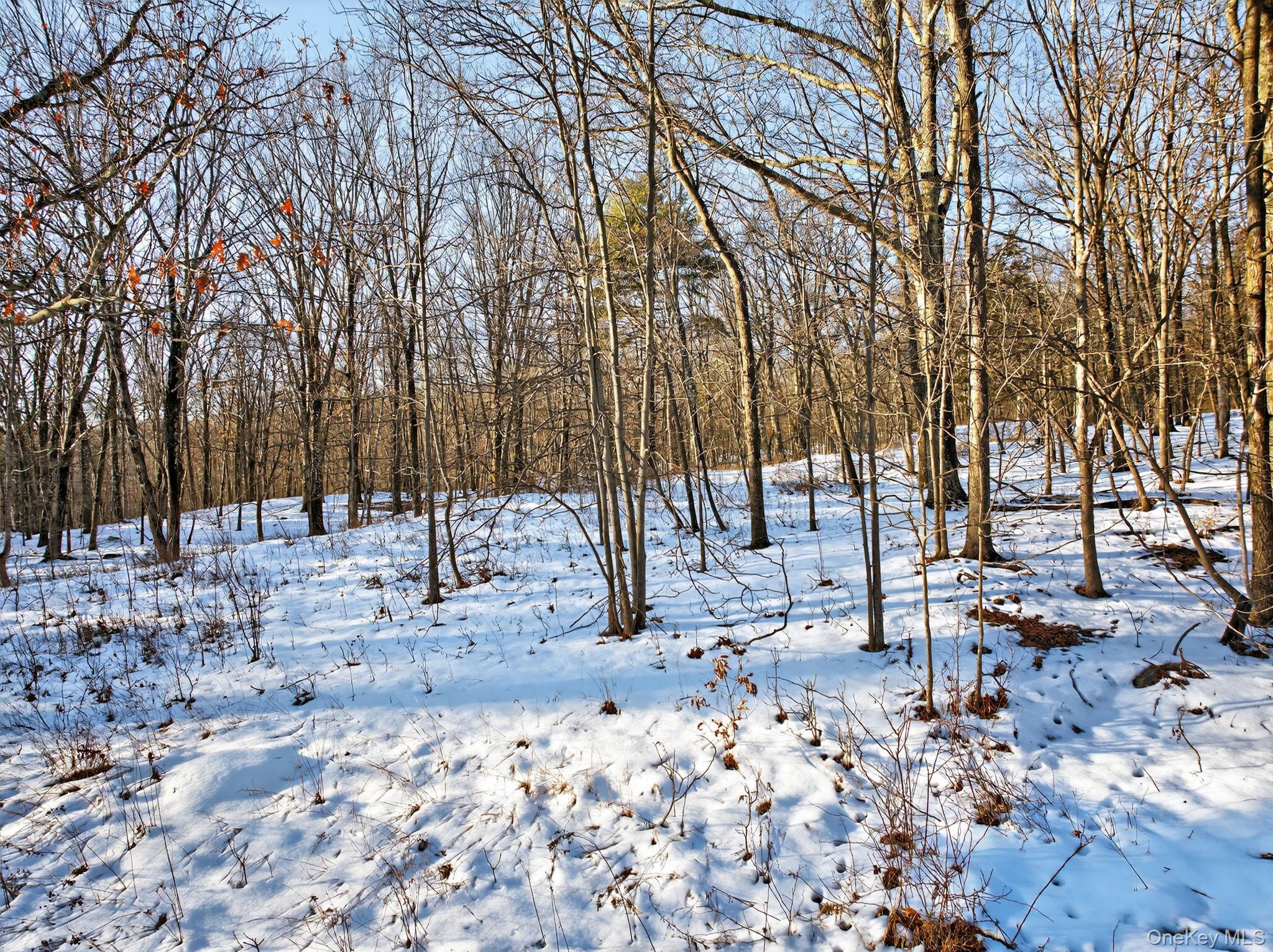 Tbd Hicks Hill Road Property Photo 10