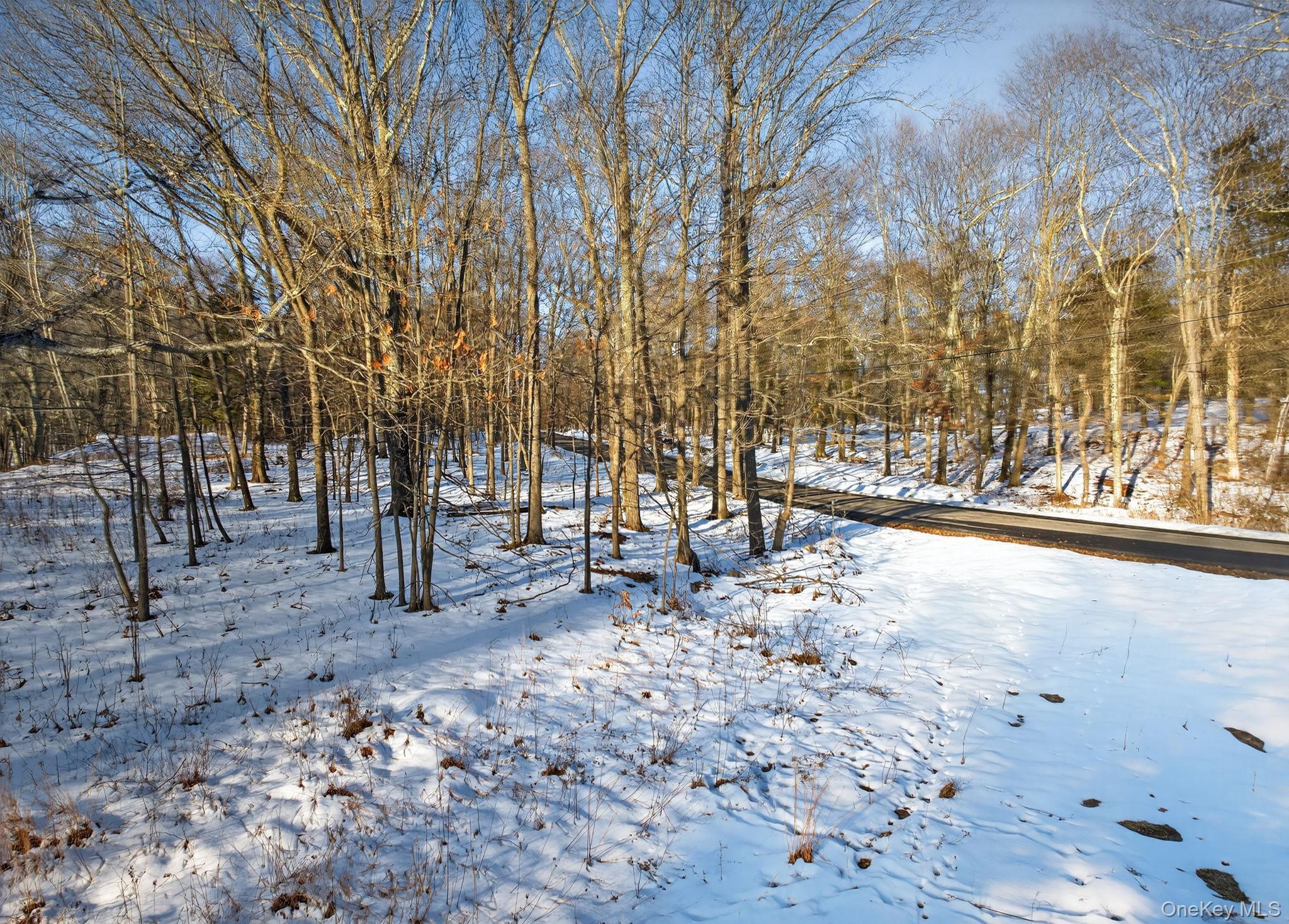 Tbd Hicks Hill Road Property Photo 11
