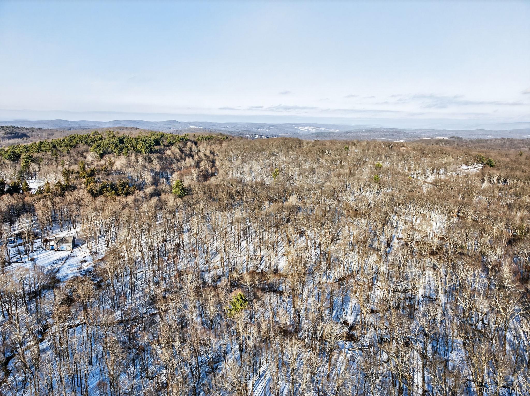 Tbd Hicks Hill Road Property Photo 17
