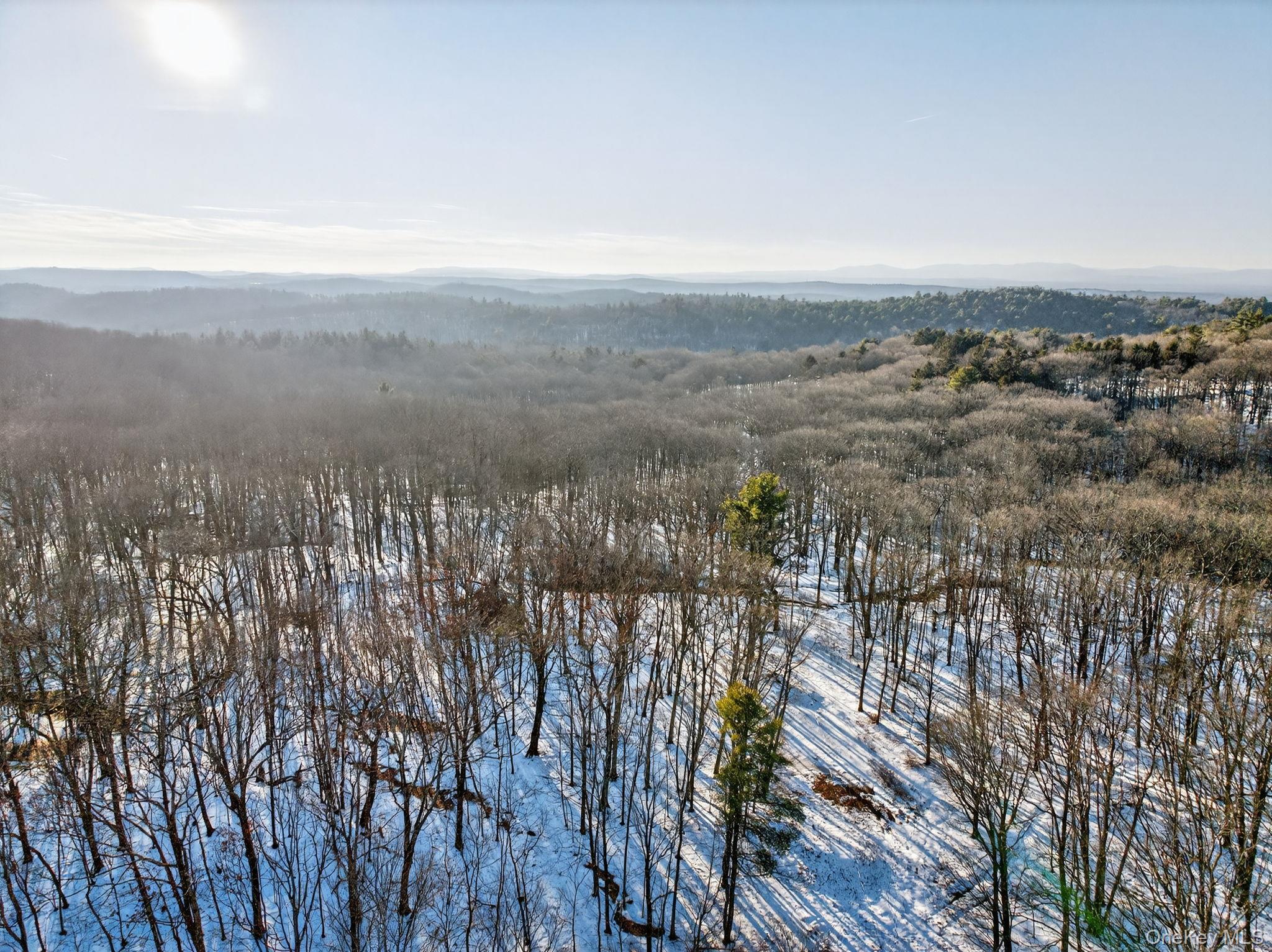 Tbd Hicks Hill Road Property Photo 21