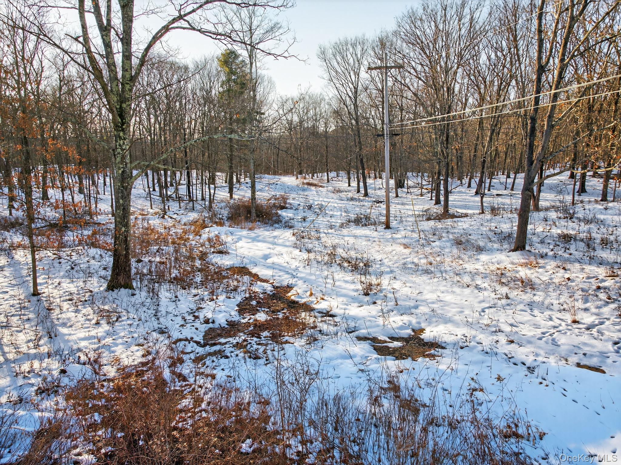 Tbd Hicks Hill Road Property Photo 25