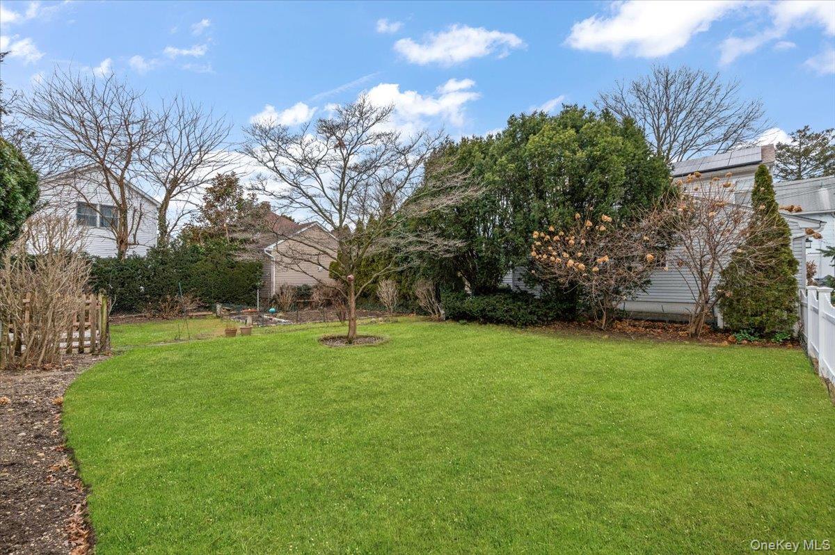 13 Elm Street Property Photo 1