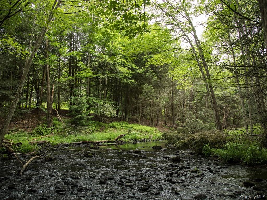 Lot 4 Chapin Trail Property Photo 2