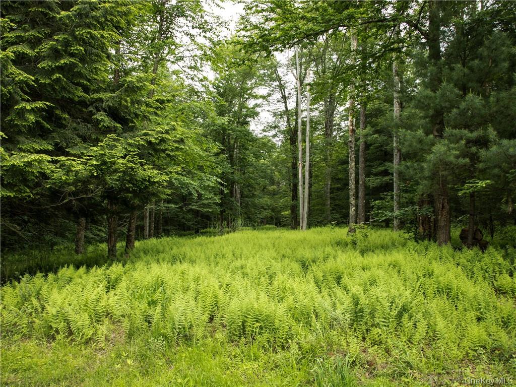 Lot 4 Chapin Trail Property Photo 3