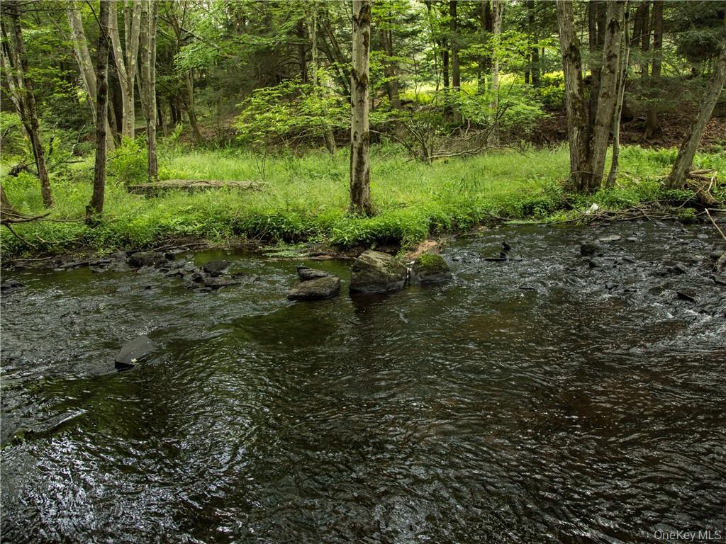 Lot 4 Chapin Trail Property Photo 5