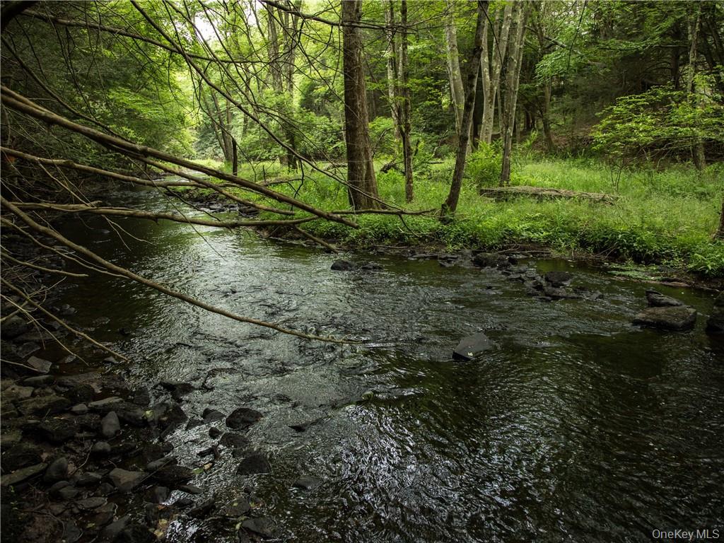 Lot 4 Chapin Trail Property Photo 6