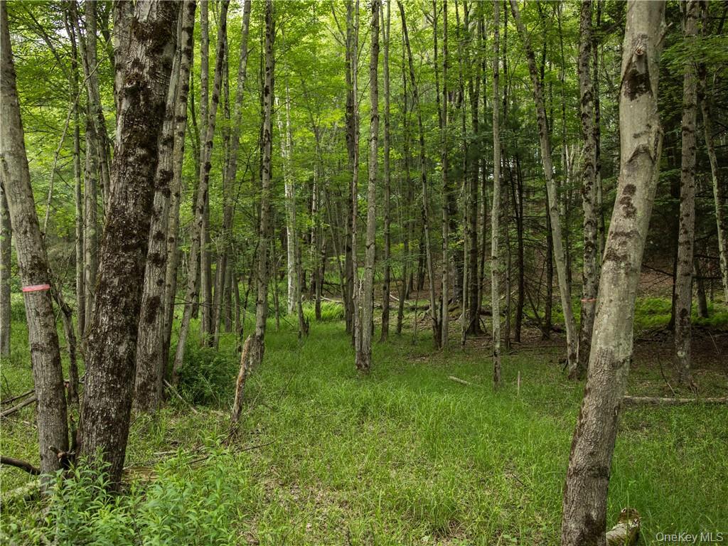 Lot 4 Chapin Trail Property Photo 7