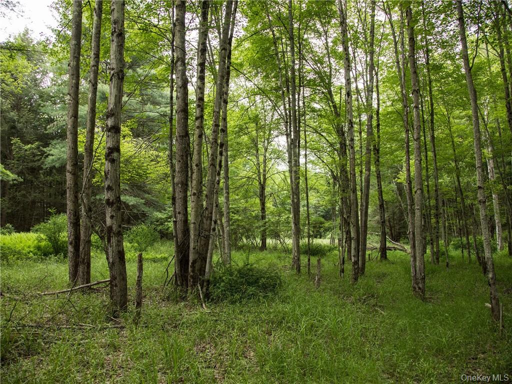Lot 4 Chapin Trail Property Photo 9