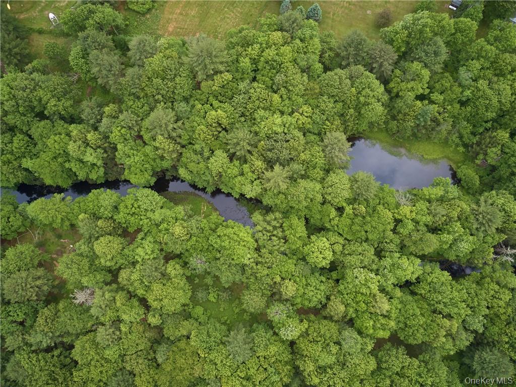 Lot 4 Chapin Trail Property Photo 10