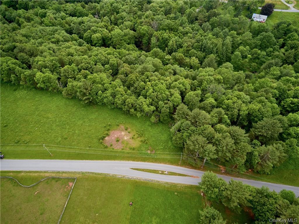 Lot 4 Chapin Trail Property Photo 13