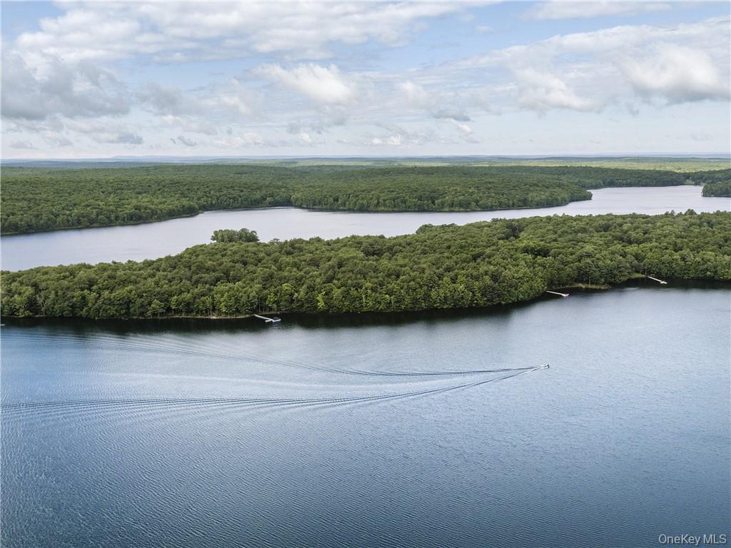 Lot 4 Chapin Trail Property Photo 15
