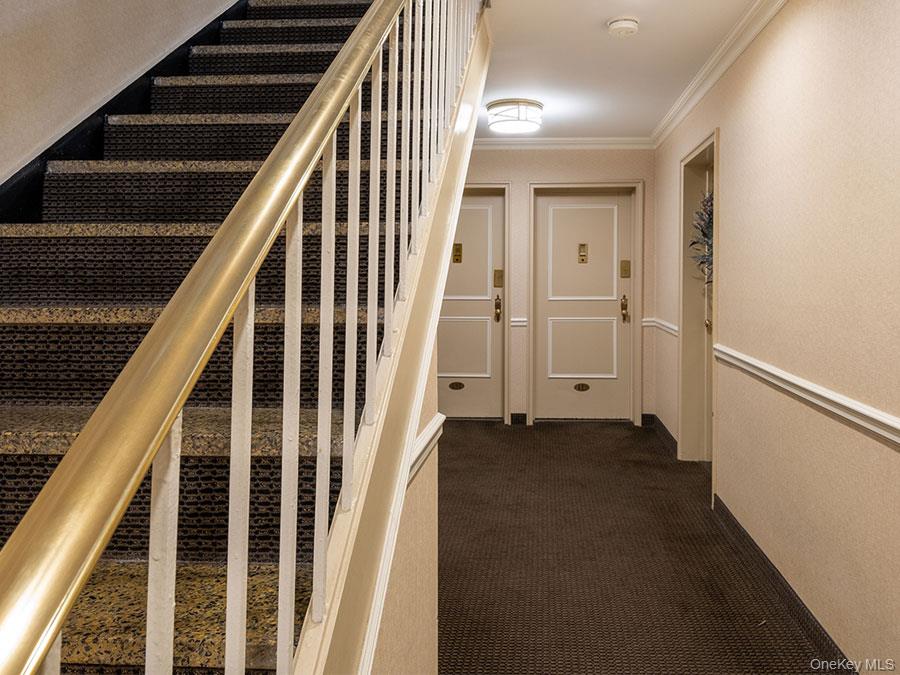 15 Bryant Crescent 2b Property Photo 5