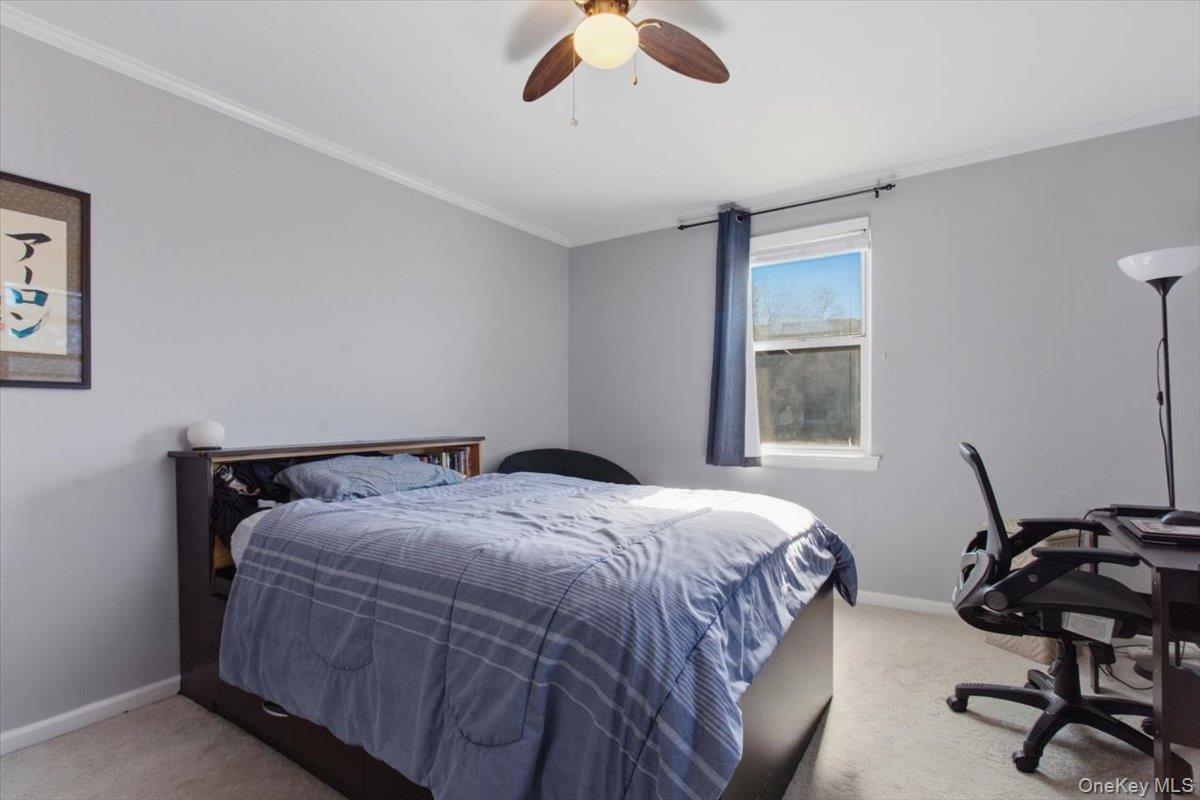 15 Bryant Crescent 2b Property Photo 16
