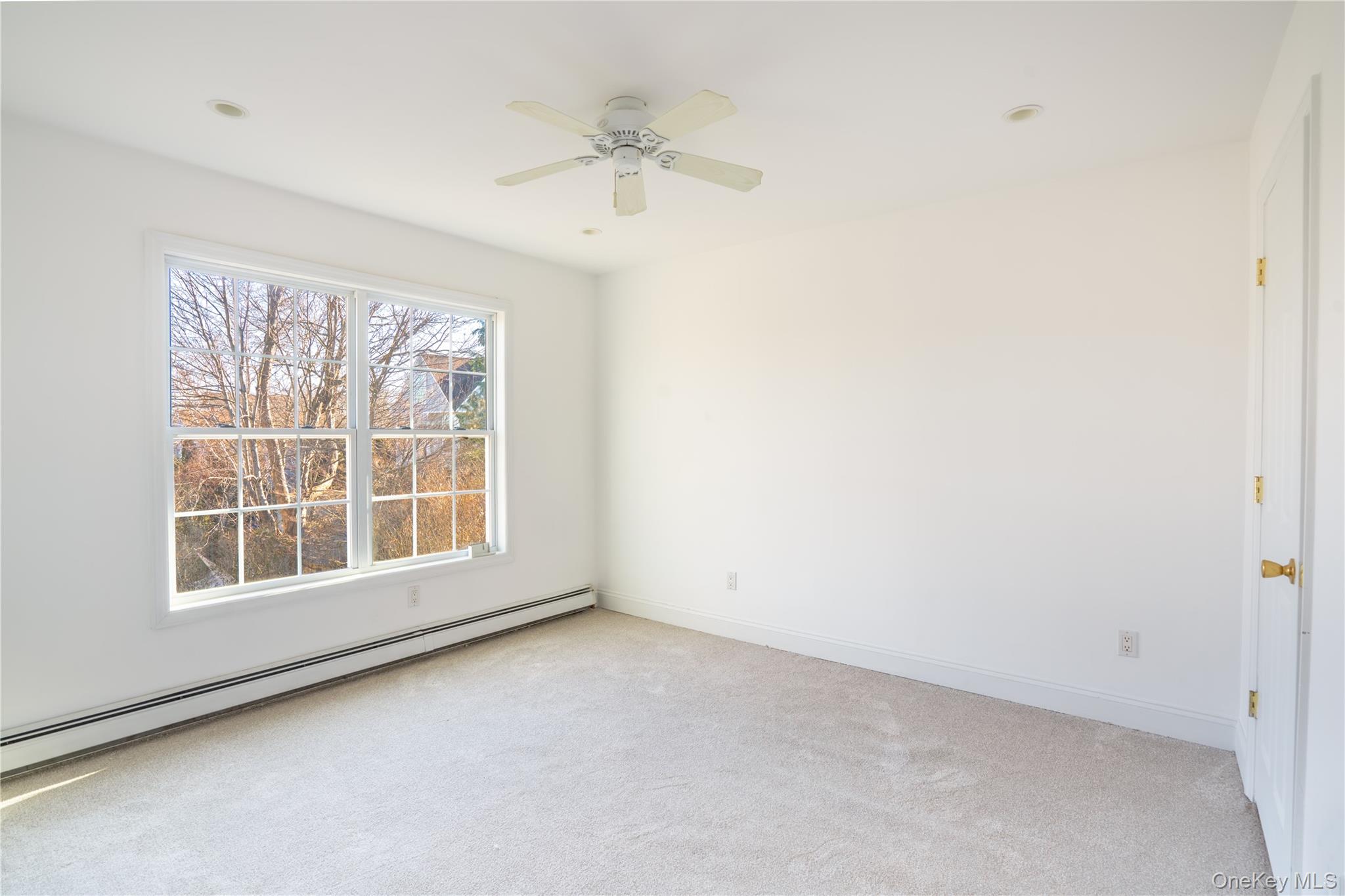 1175 9th Street Property Photo 22