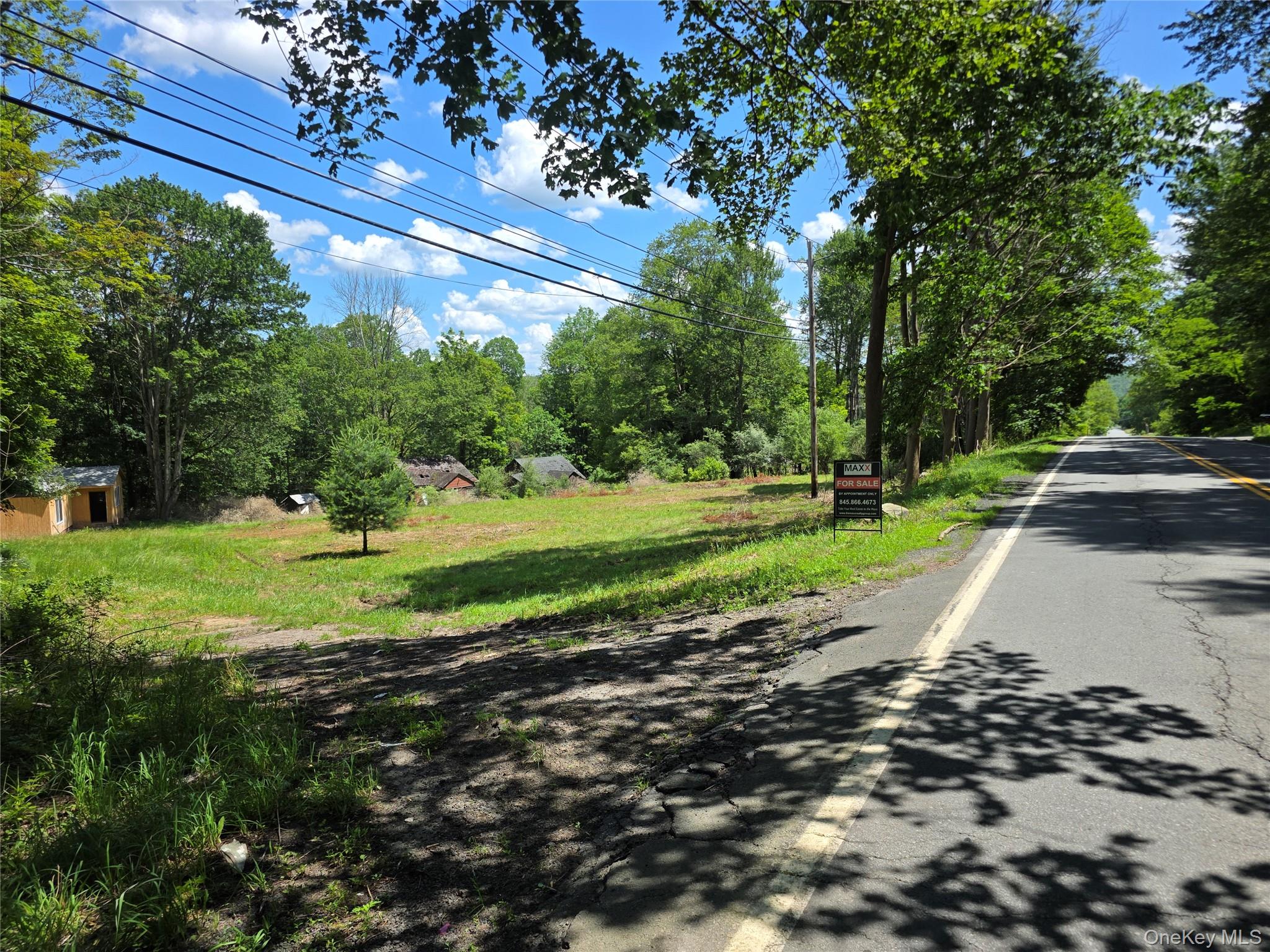 1094 Old Route 17 Property Photo 5