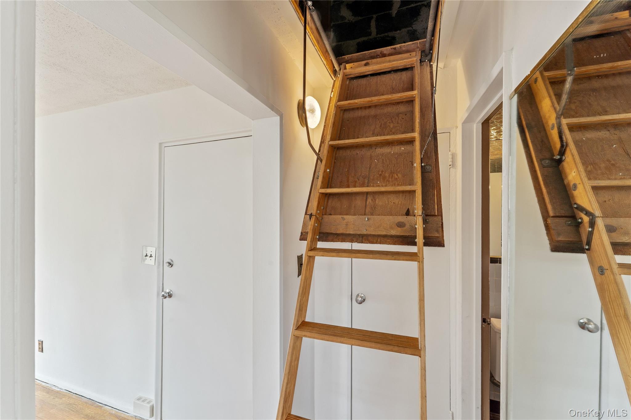 249-36 63rd Avenue #4-1282 Property Photo 13