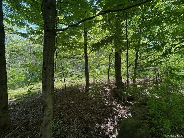 20 Hickory Lane Property Photo 9