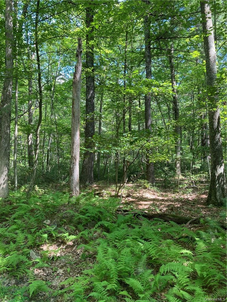 Allen Road Property Photo 1