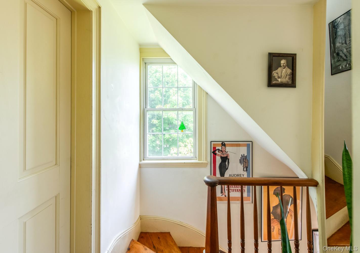 33 Cliff Street Property Photo 26