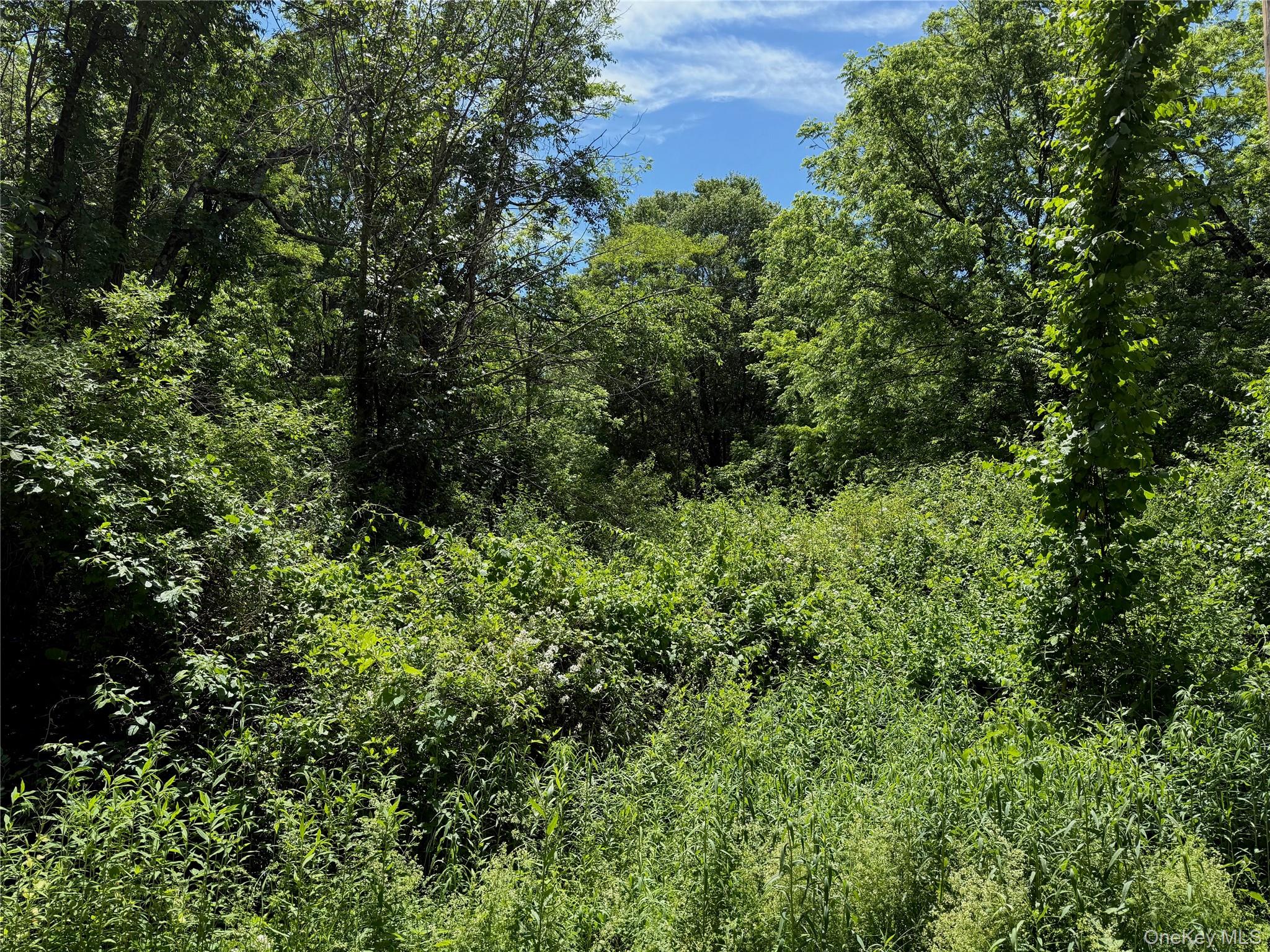 Schoolhouse Road Property Photo 2