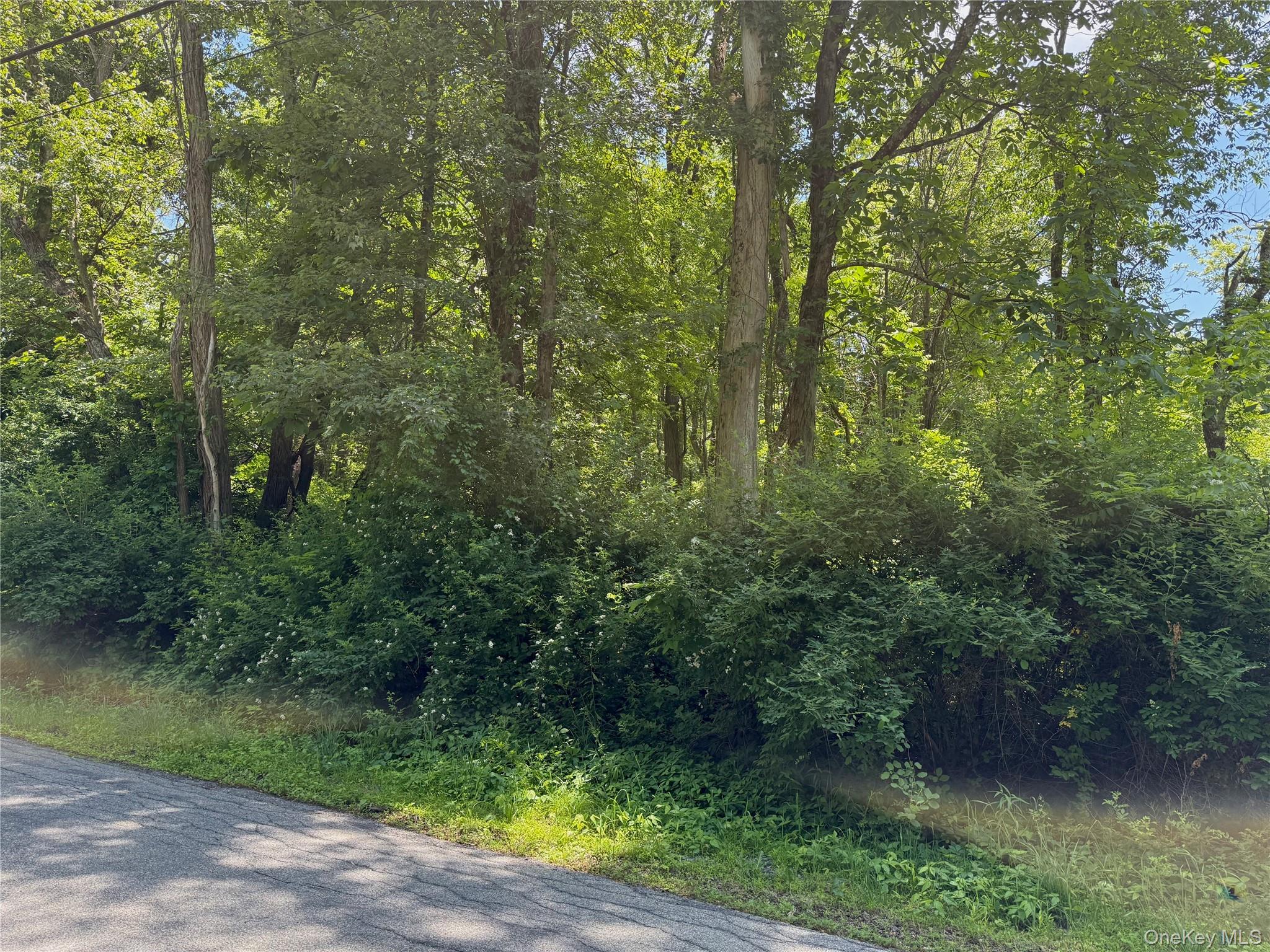 Schoolhouse Road Property Photo 3