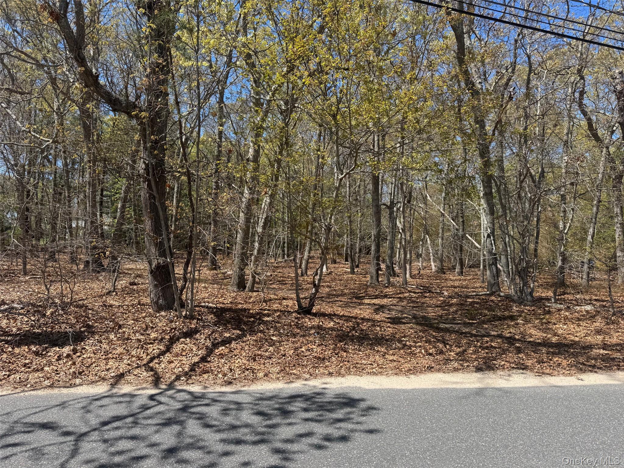 725 Youngs Avenue Property Photo 1