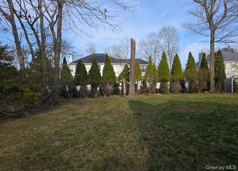 1a Jackson Avenue A Property Photo 5