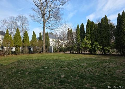 1a Jackson Avenue A Property Photo 6