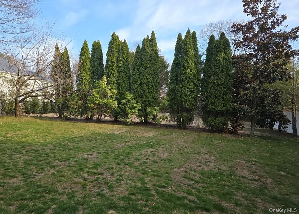 1a Jackson Avenue A Property Photo 7