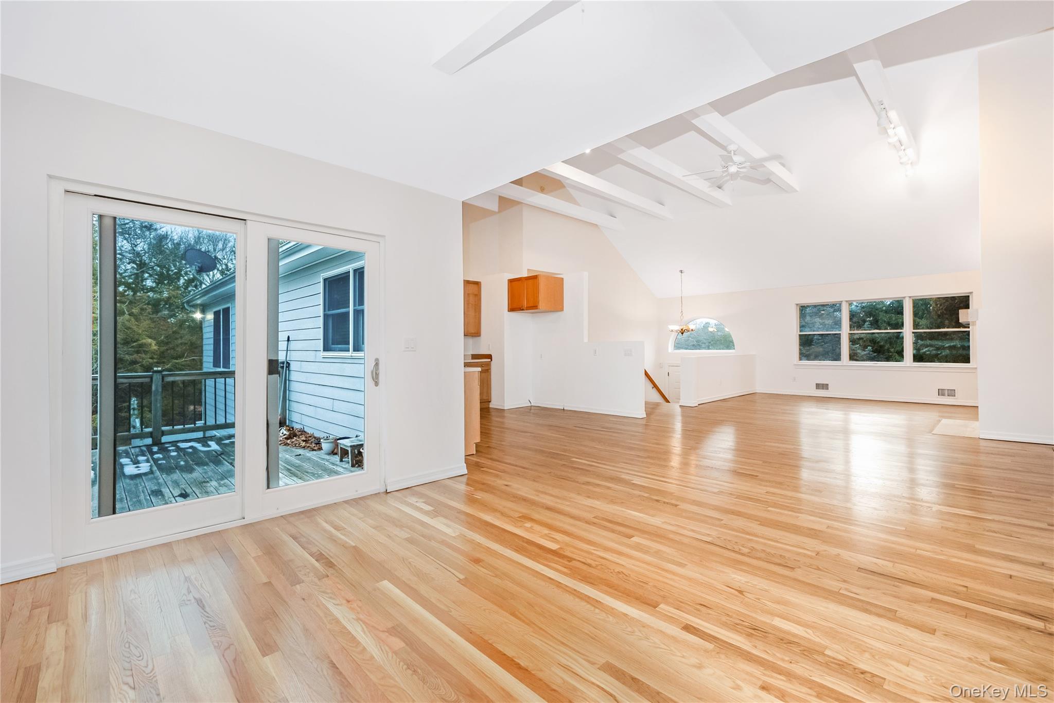1a Jackson Avenue A Property Photo 14