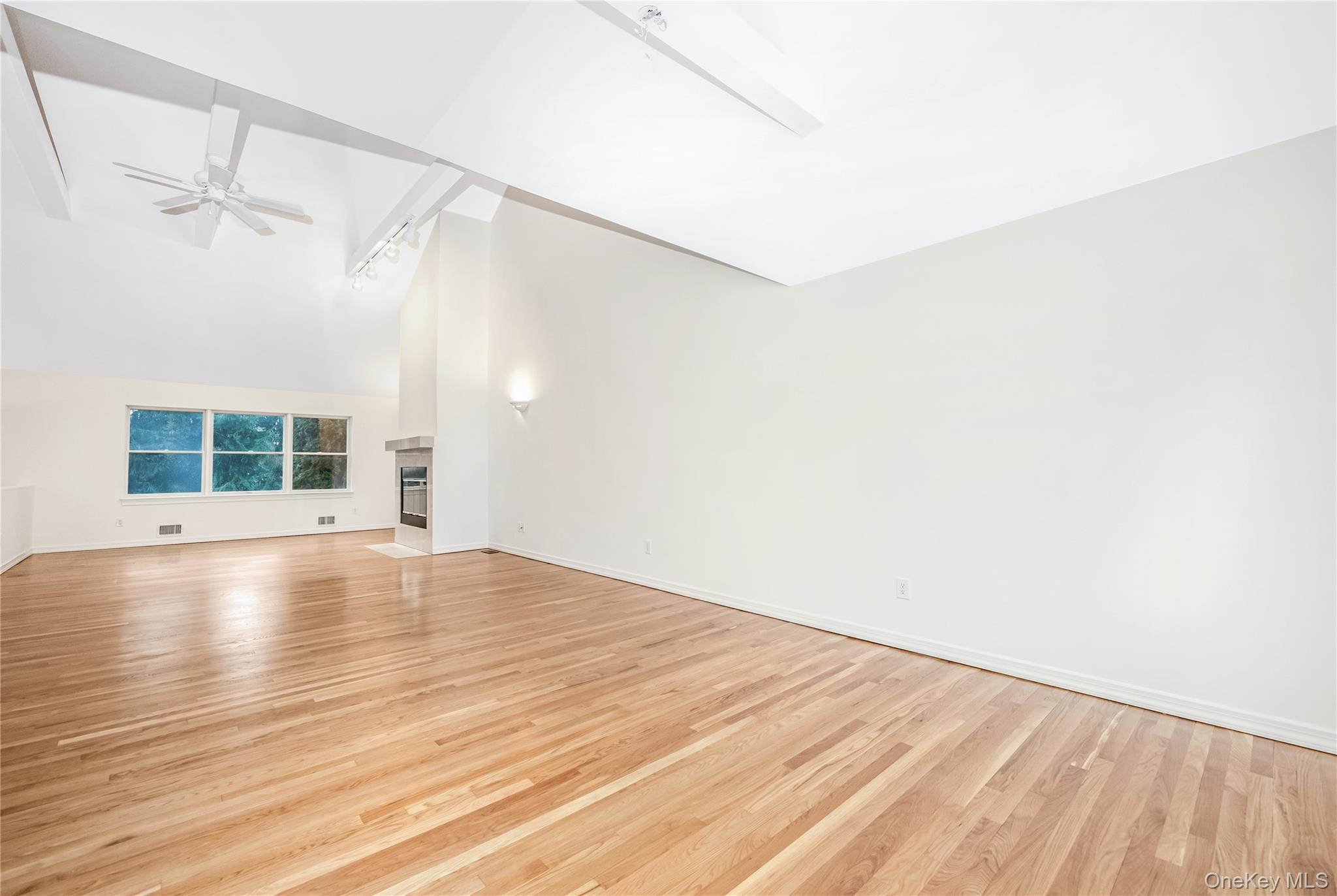 1a Jackson Avenue A Property Photo 15