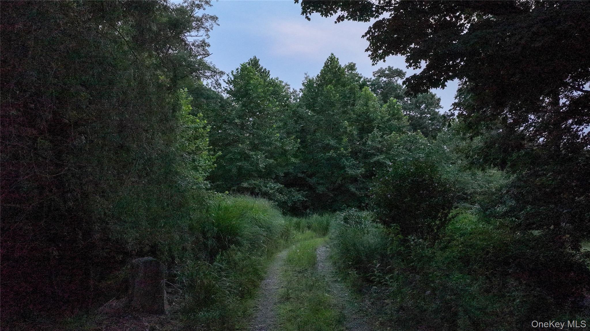 93 Settlers Hill Road Property Photo 2