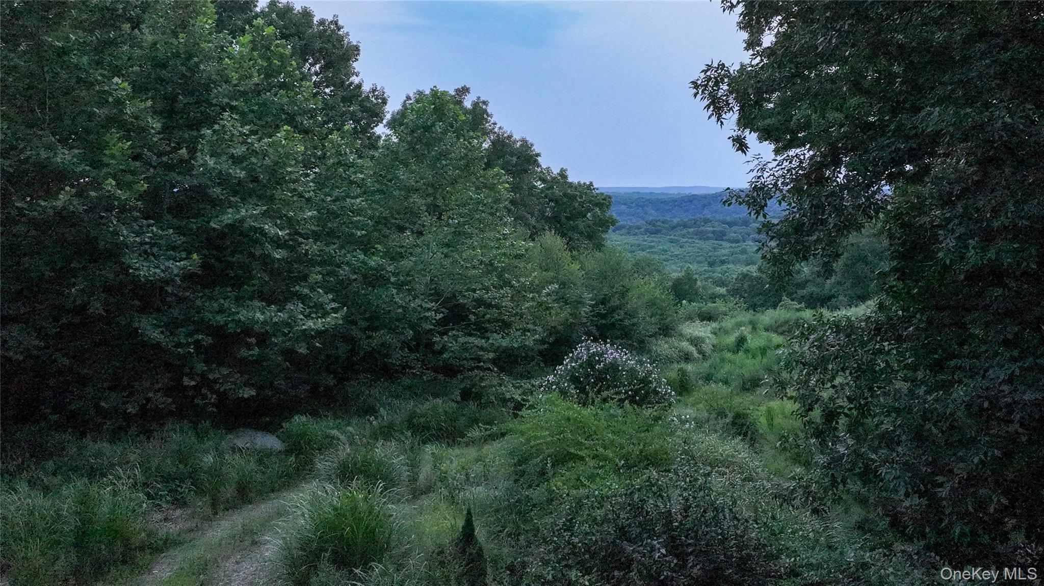 93 Settlers Hill Road Property Photo 3