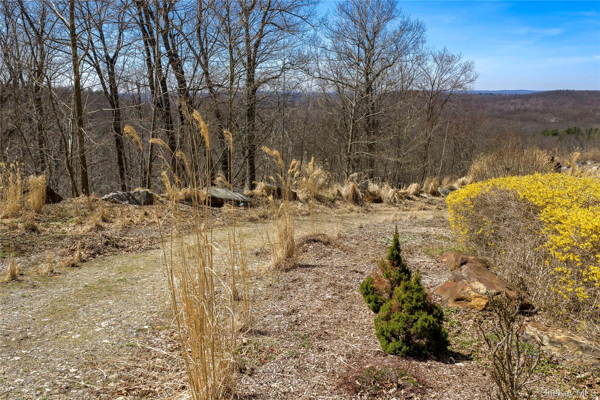93 Settlers Hill Road Property Photo 8