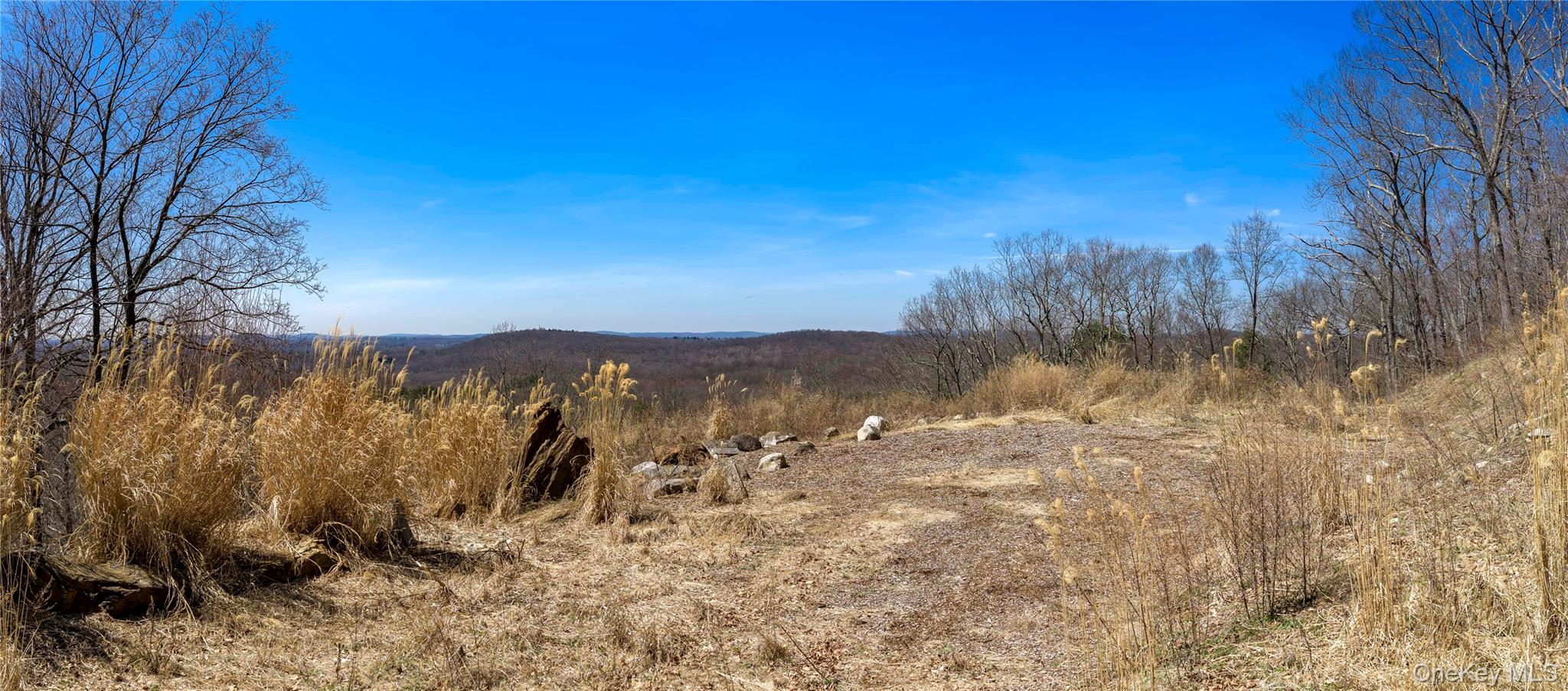 93 Settlers Hill Road Property Photo 9