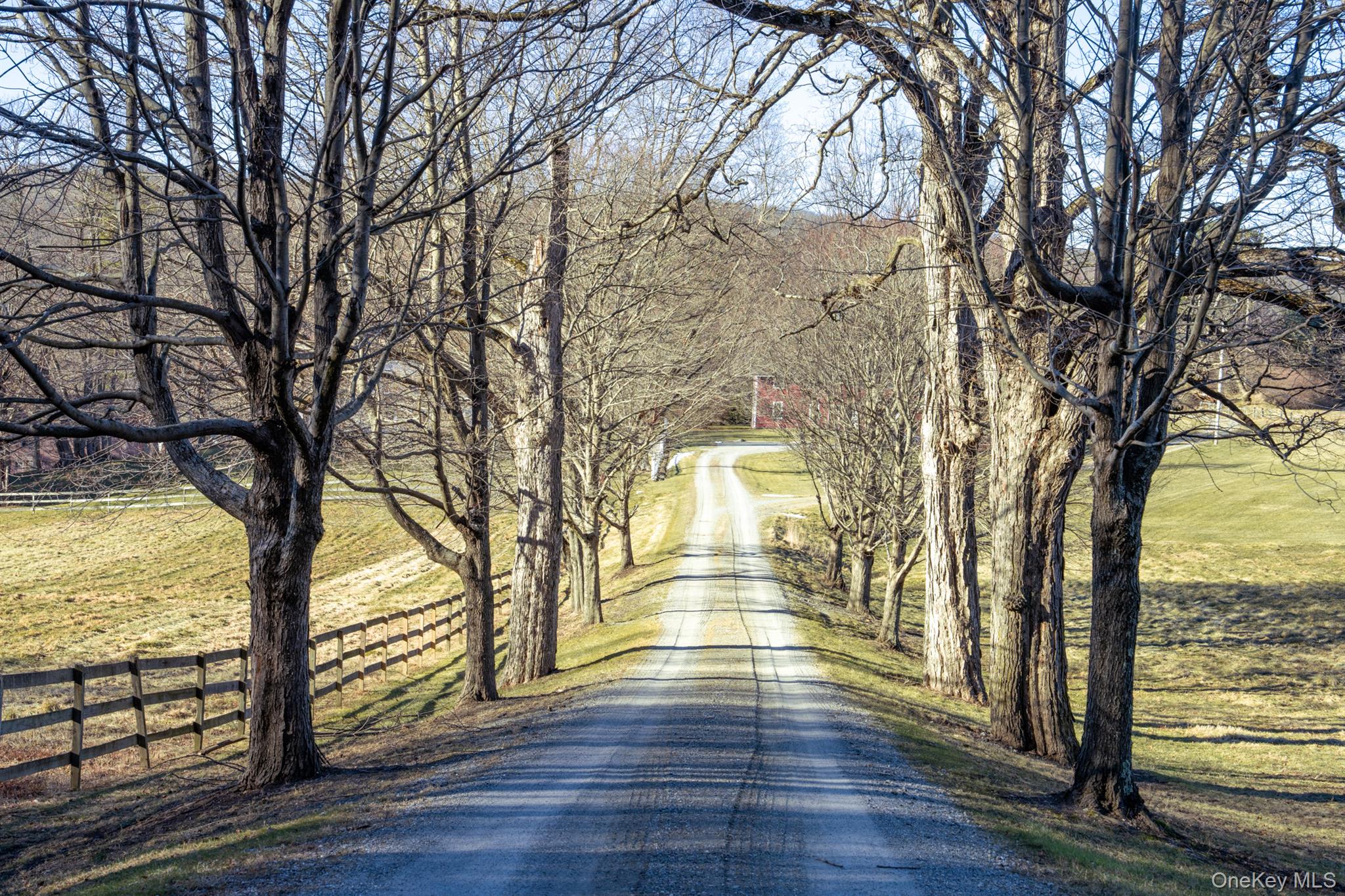 1515-1517 Route 83 Property Photo 2
