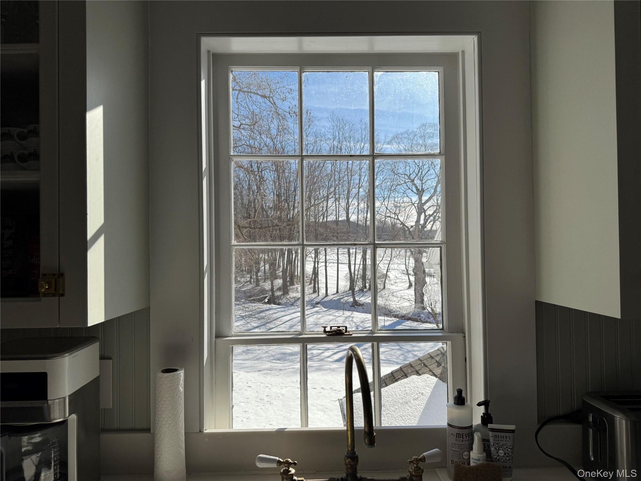 1515-1517 Route 83 Property Photo 10