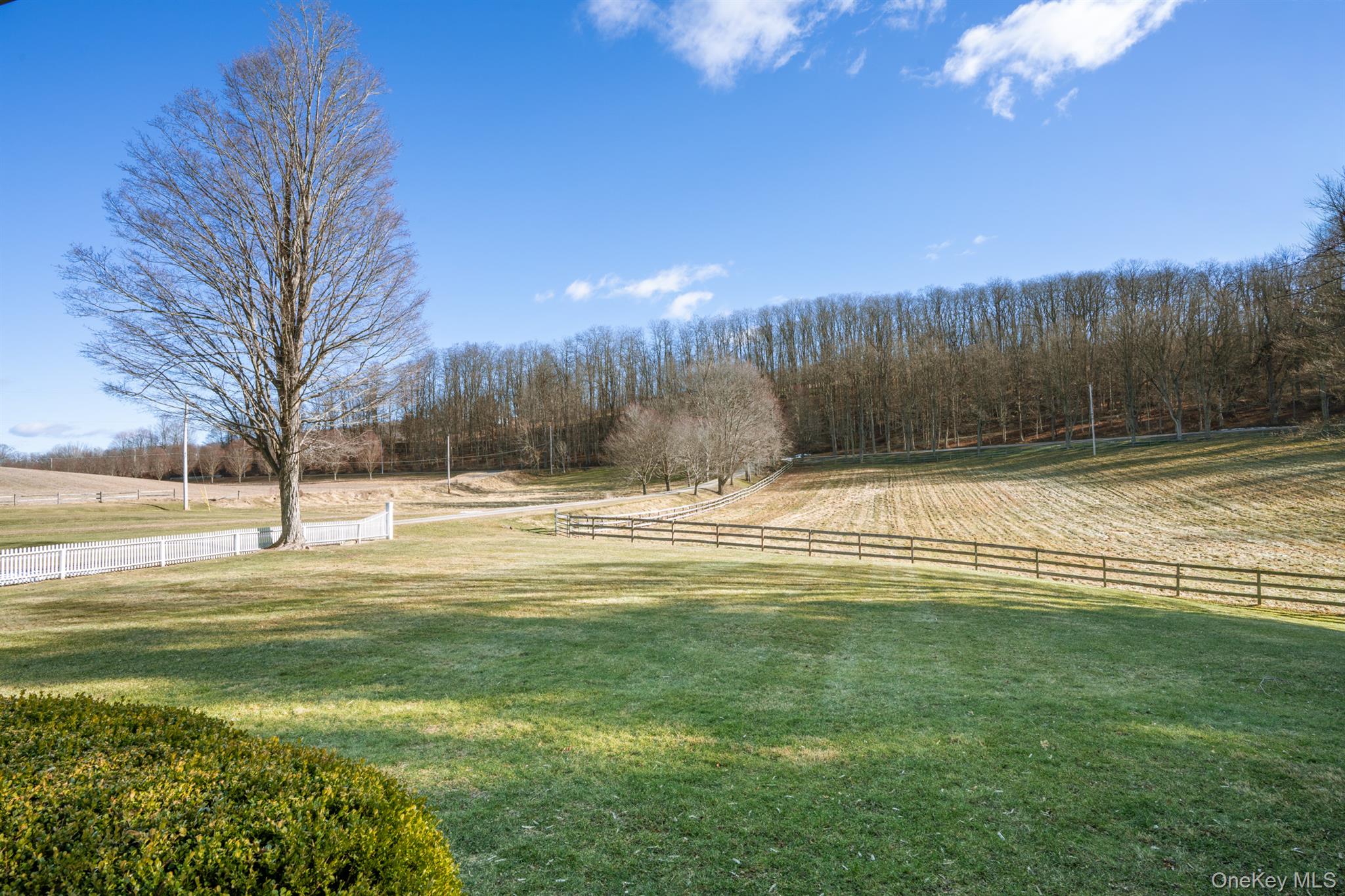 1515-1517 Route 83 Property Photo 32