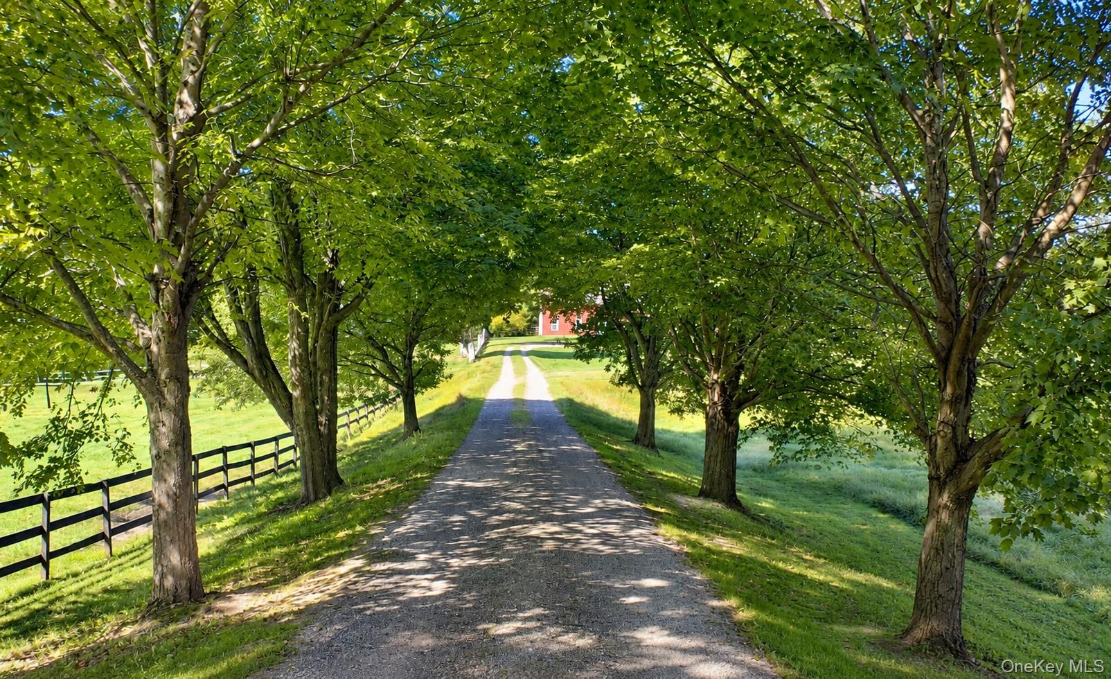 1515-1517 Route 83 Property Photo 50